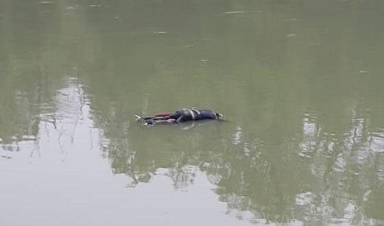 তিস্তা ক্যানেলের জলে মৃতদেহ উদ্ধার, খুনের আশঙ্কা