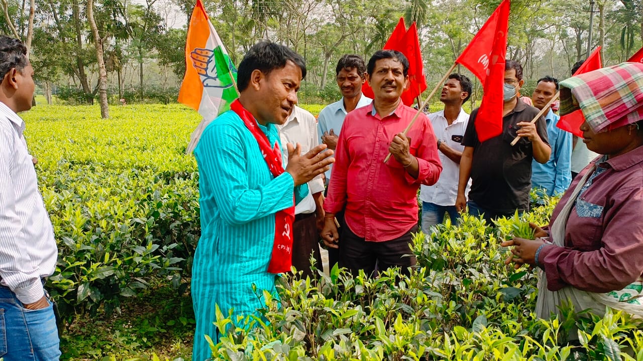 প্রচারের শুরুতে চা-বাগান‌গুলোকেই বেশি গুরুত্ব দিচ্ছেন রাজগঞ্জের বাম-কংগ্রেস জোট প্রার্থী রতন রায়