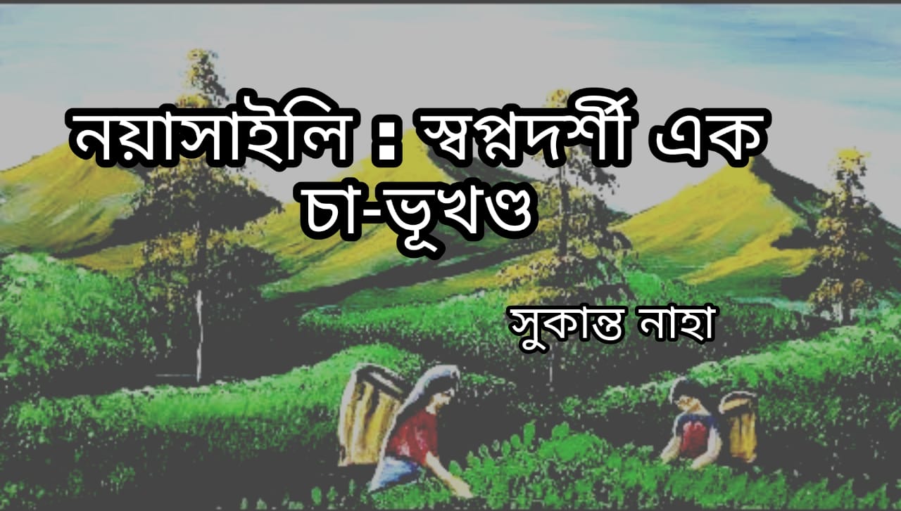 নয়াসাইলি : স্বপ্নদর্শী এক চা-ভূখণ্ড