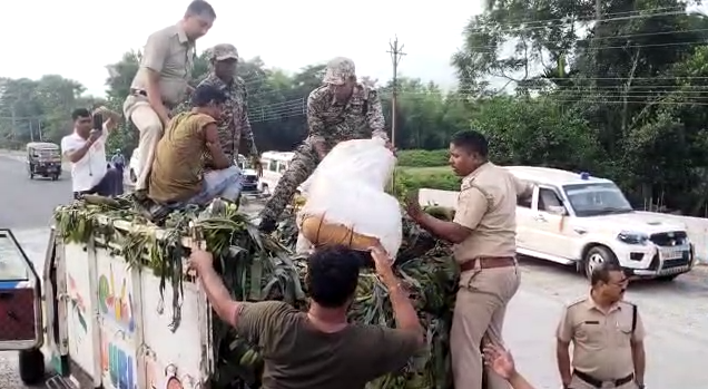 গাড়ি ভর্তি কলার আড়ালে গাঁজার পাচার, গ্রেপ্তার ১