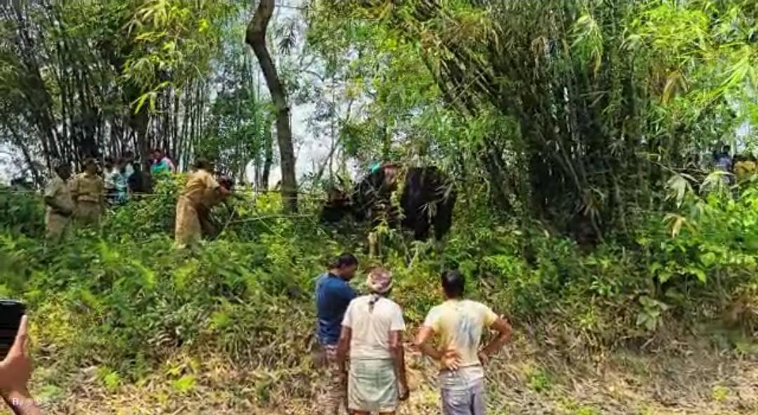 সাত সকালে বাইসনের হামলায় মৃত্যু হলো এক ব্যক্তির