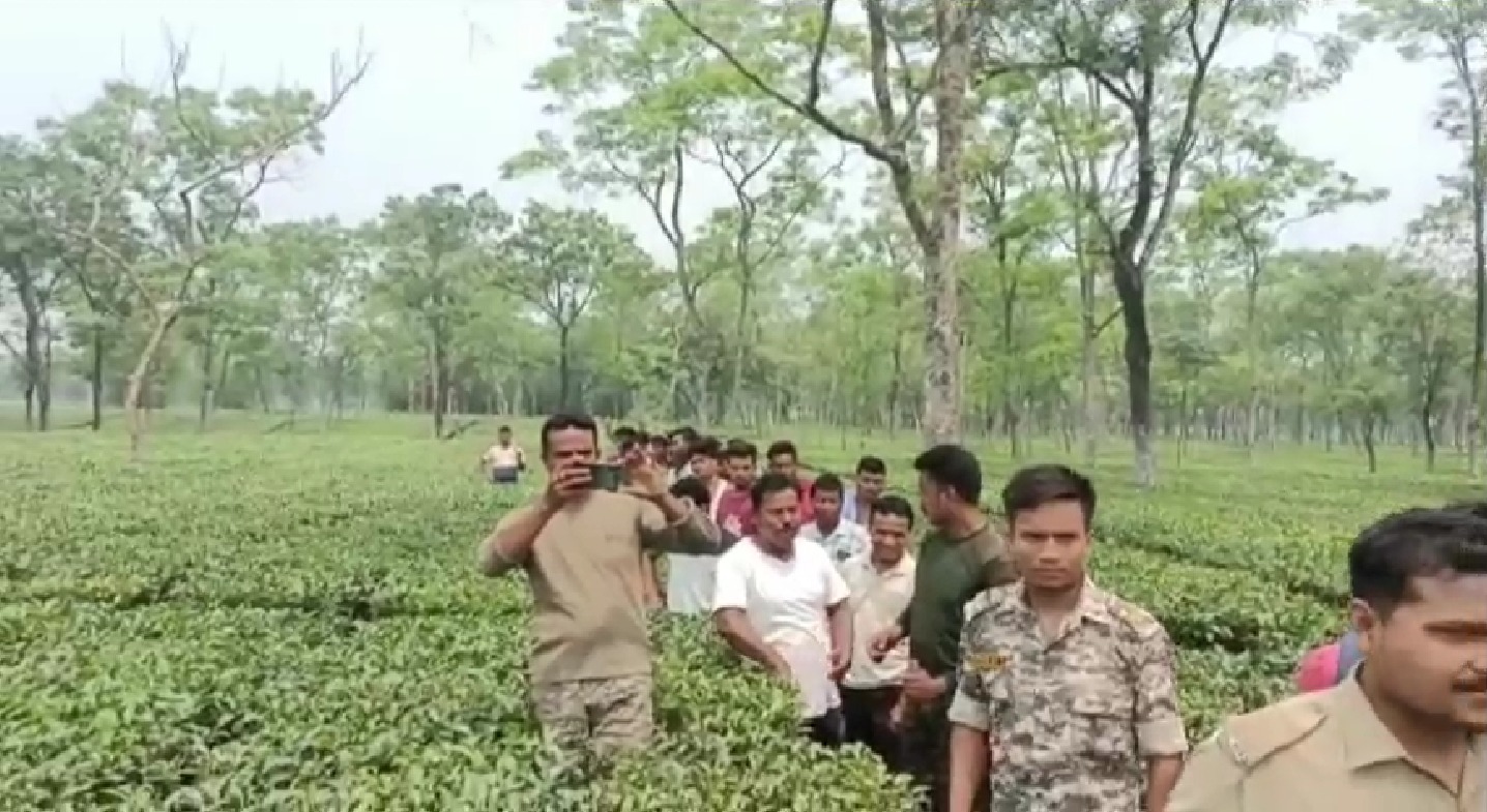 ফের লোকালয়ে চিতাবাঘ, চা শ্রমিকের উপর আক্রমণের ঘটনায় চাঞ্চল্য