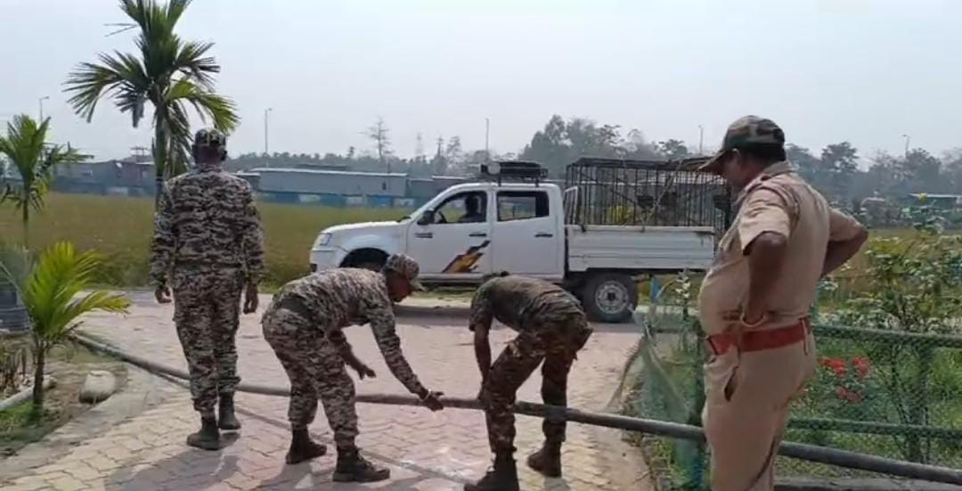 কৃষি দপ্তরের অফিসে চিতা বাঘের আতঙ্ক, খাঁচা পাতলো বন দপ্তর