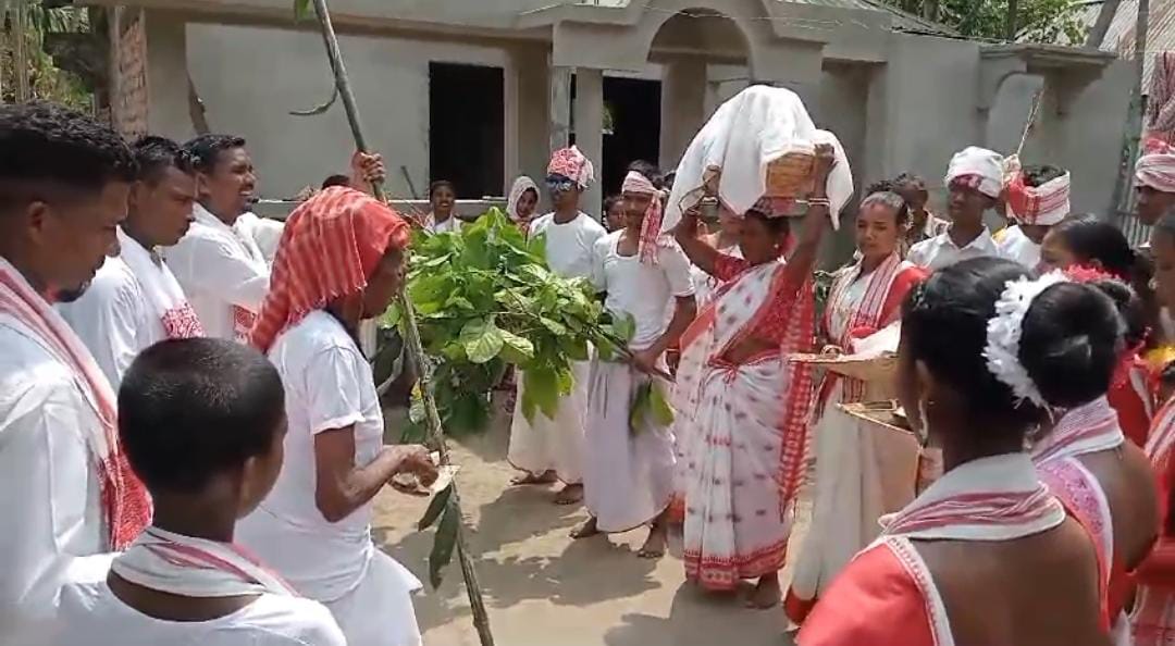 জলপাইগুড়ির ডেঙ্গুয়াঝাড় চা বাগানে অনুষ্ঠিত হলো সারুল পুজো