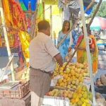 ছট পুজোর আগে চাহিদা বেড়ে গেল নারকেলের