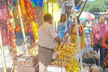 ছট পুজোর আগে চাহিদা বেড়ে গেল নারকেলের