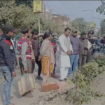 শিলিগুড়ির এস এফ রোডে পুরনিগমের তরফে গাছ কাটার কাজ রুখে দেন বিধায়ক শংকর ঘোষ